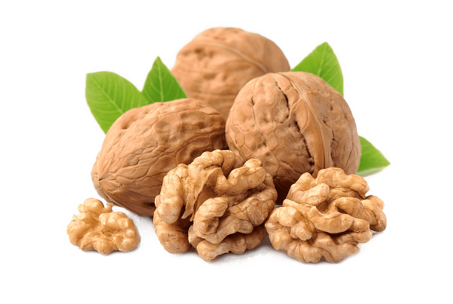 Walnüsse